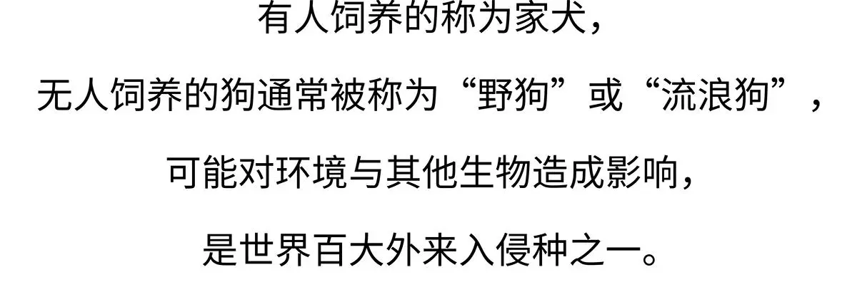 第173话19