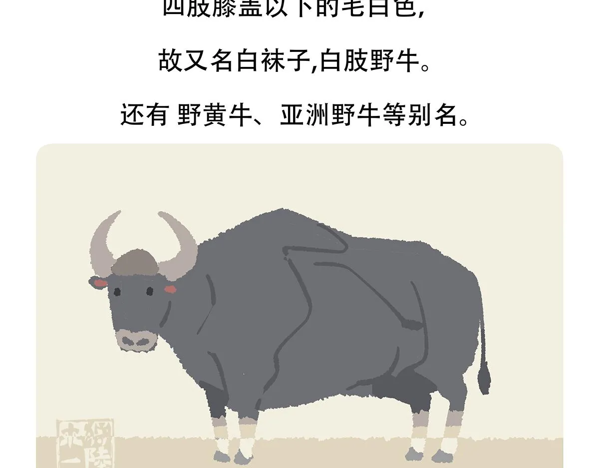 第156话19