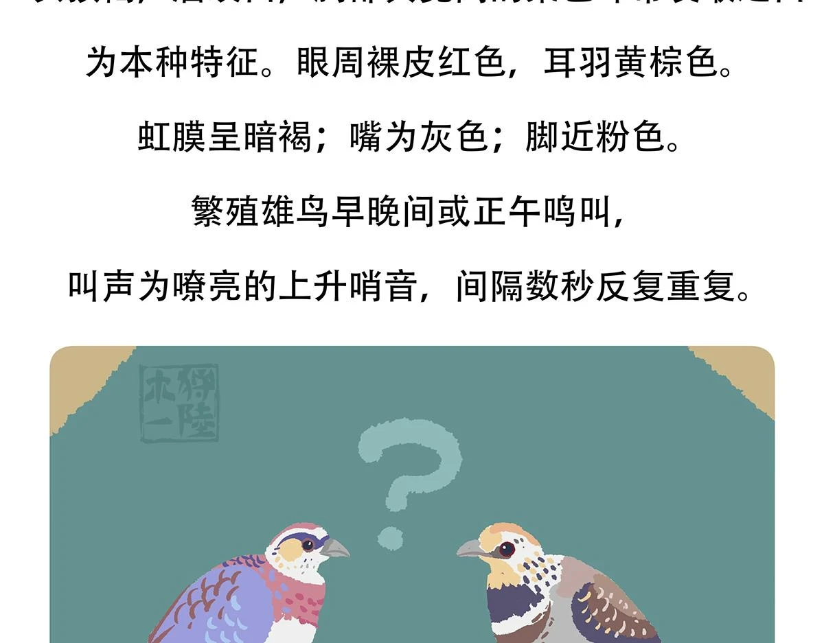 第146话23