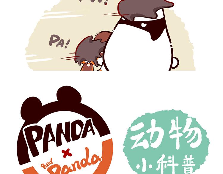 第10话11