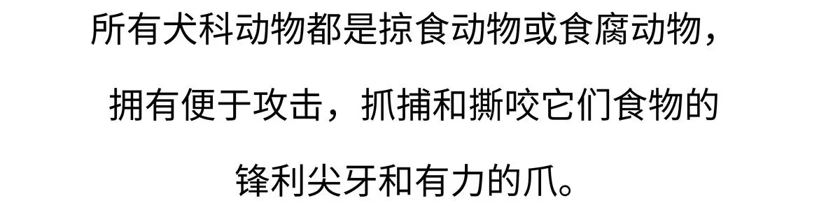 第177话19