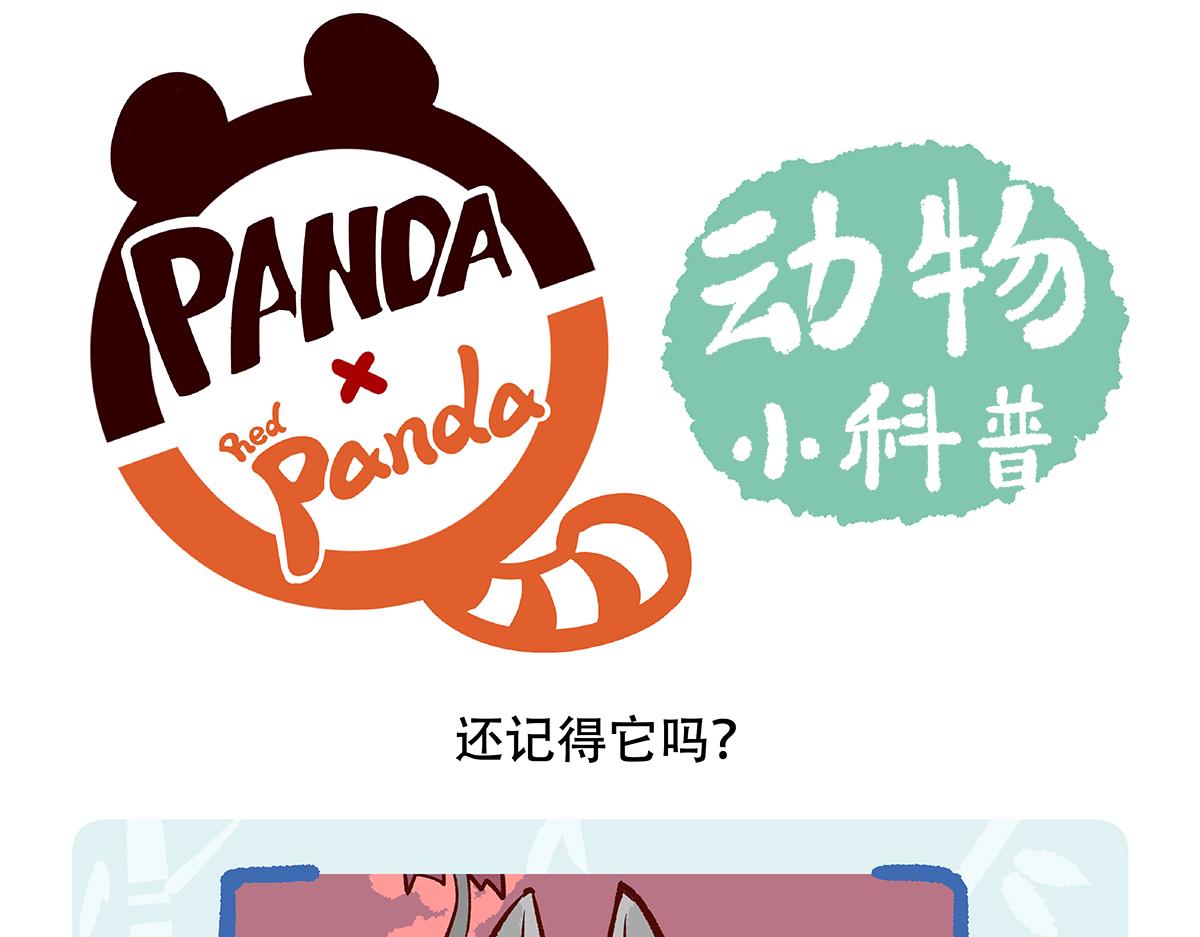 第120话25