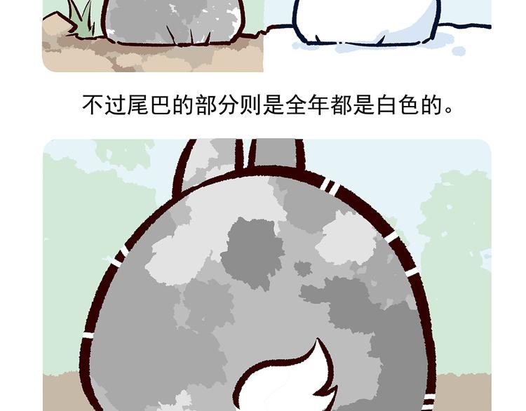 第30话31