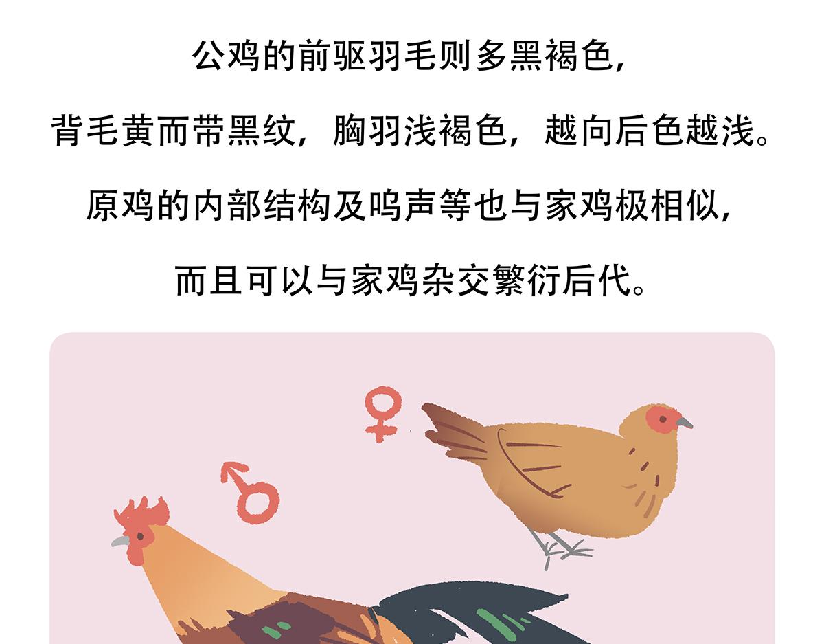 第140话24