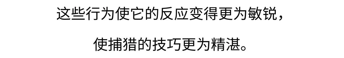 第198话20