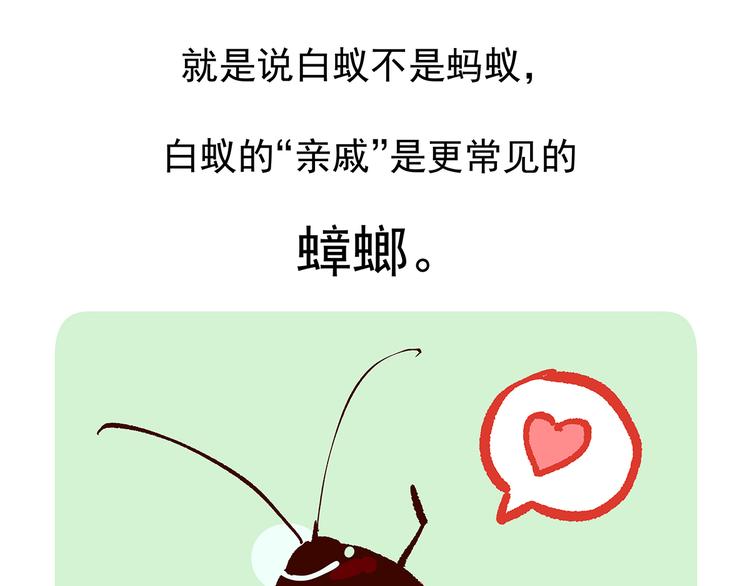 第11话29