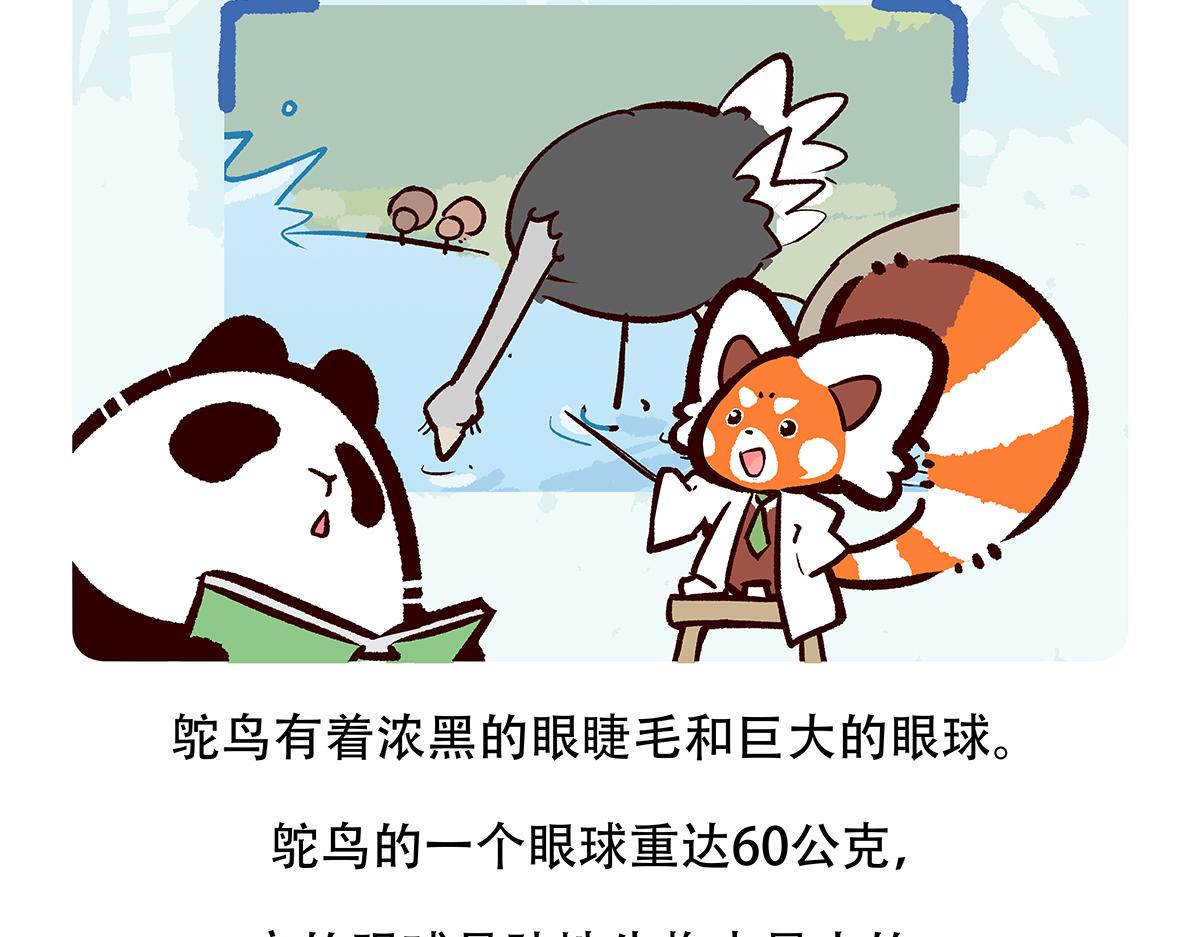 第103话26