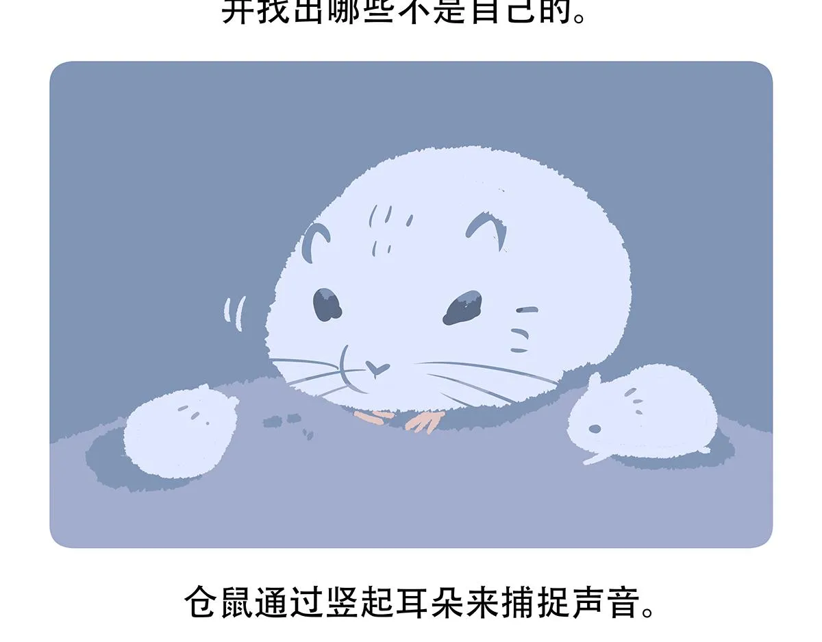 第152话27