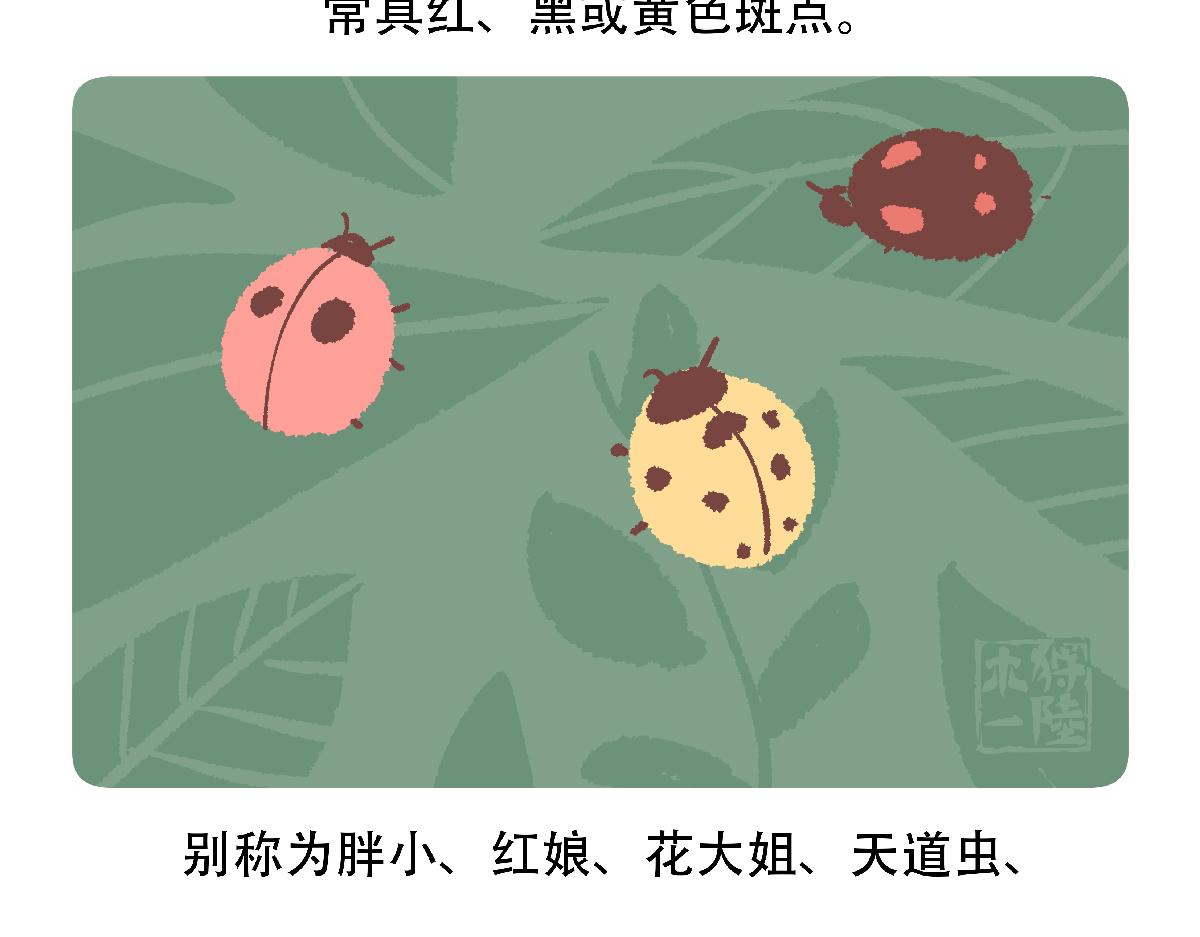 第127话27