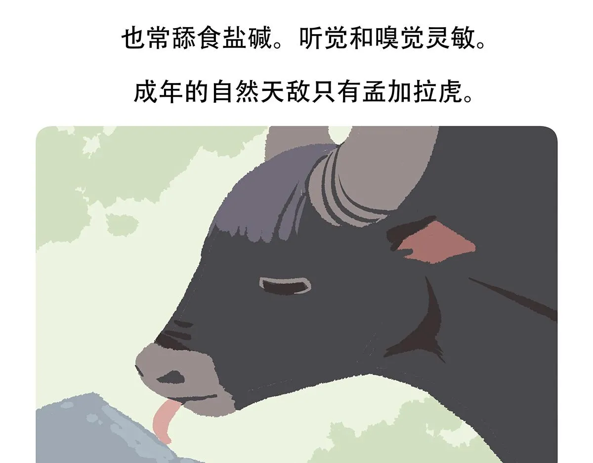 第156话22