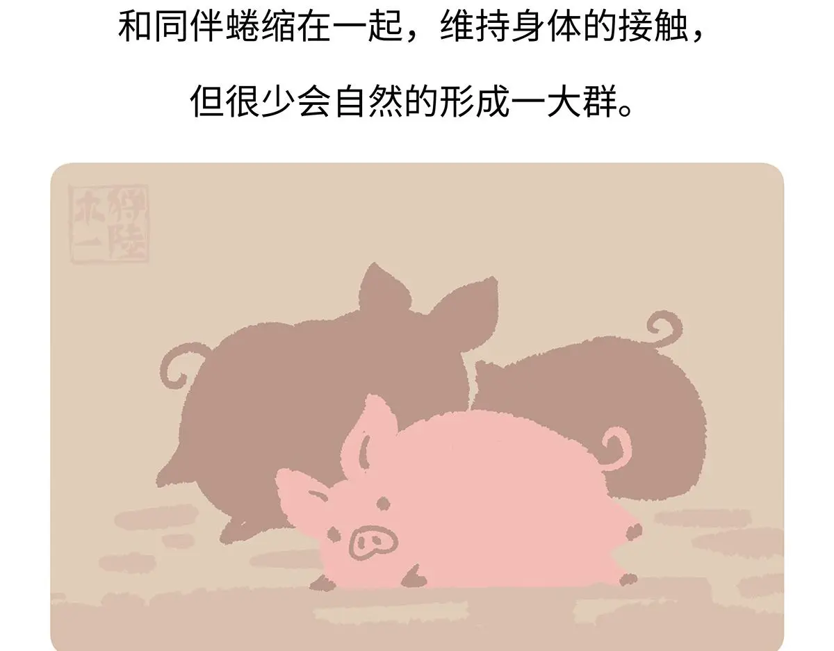 第176话19