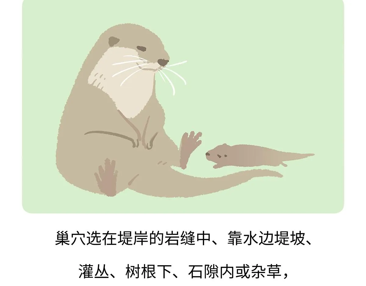 第198话26