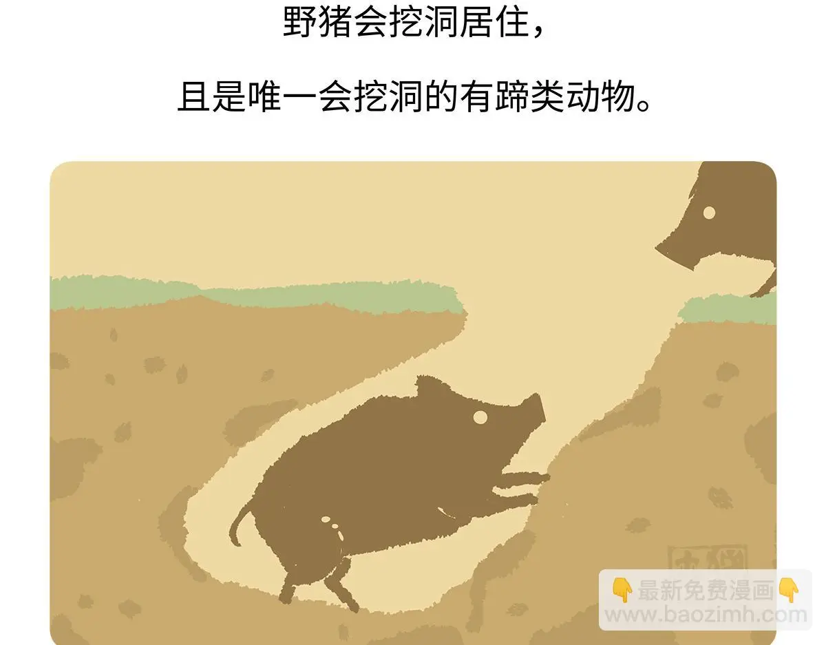 第178话26