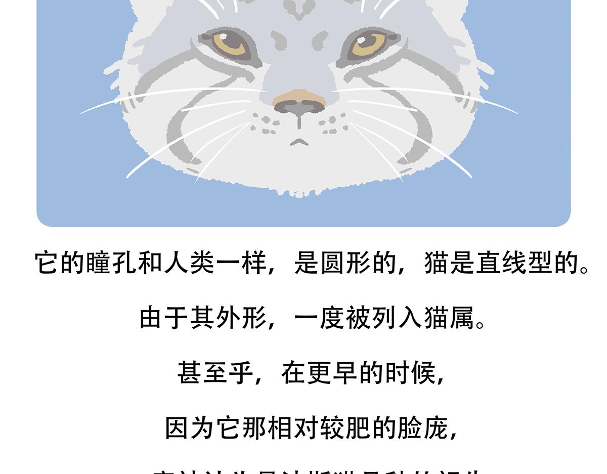 第148话24