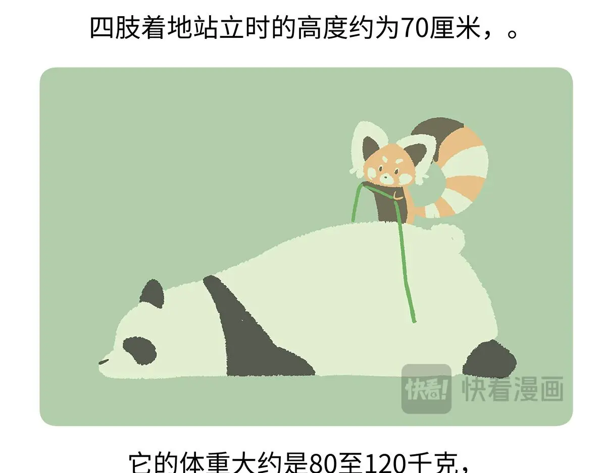第188话28