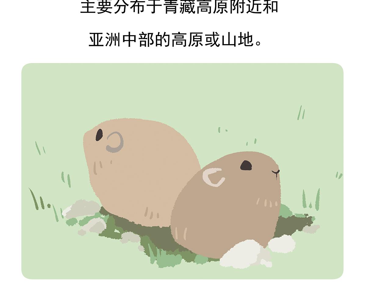 第91话20