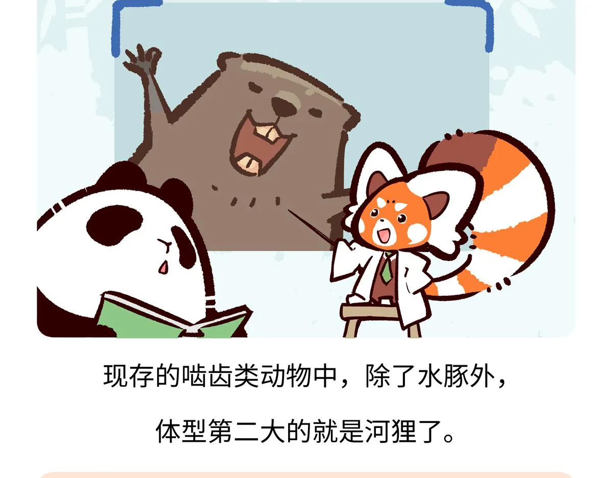 第211话24