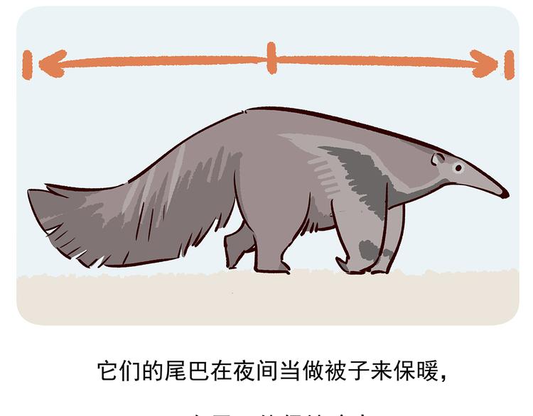 第42话27