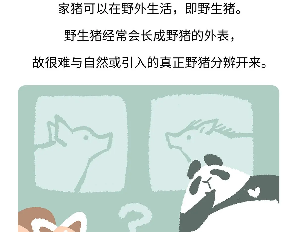 第178话28
