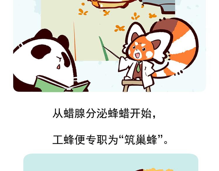第26话30