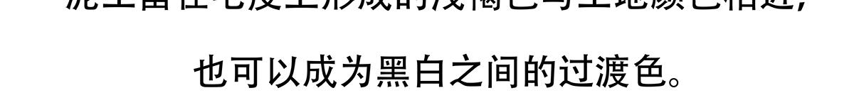 第117话28