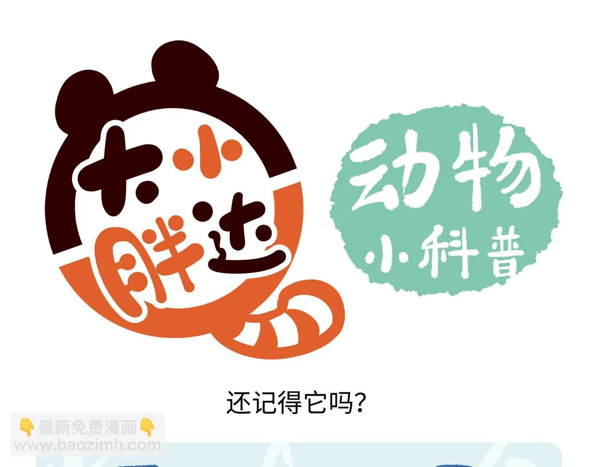 第204话19