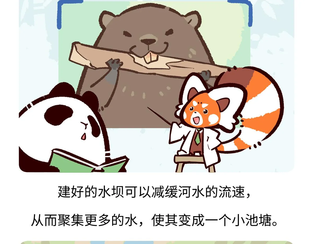 第210话19