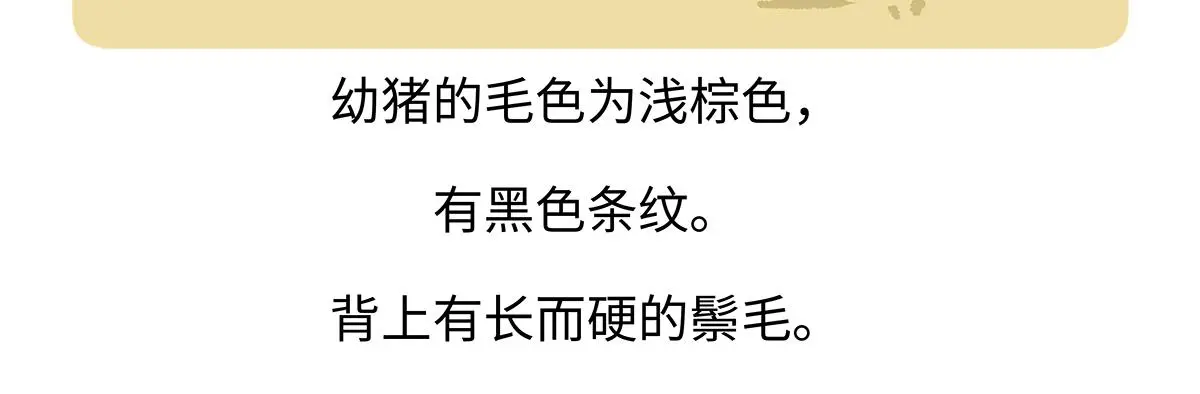 第178话22