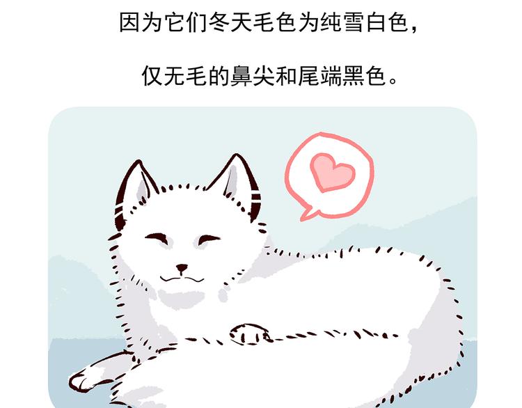 第31话23