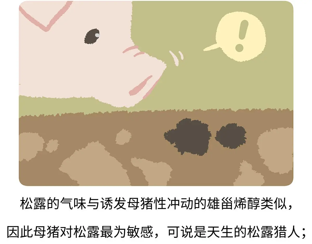 第174话26