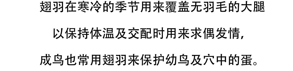 第103话21