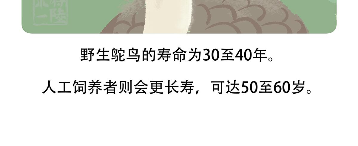 第102话23