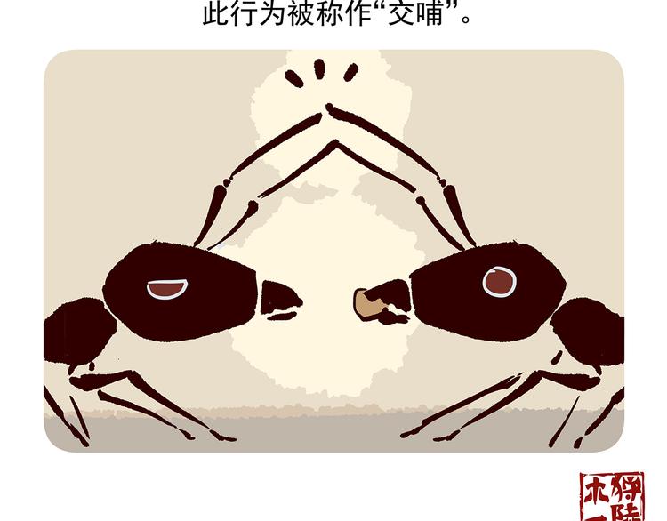 第36话24