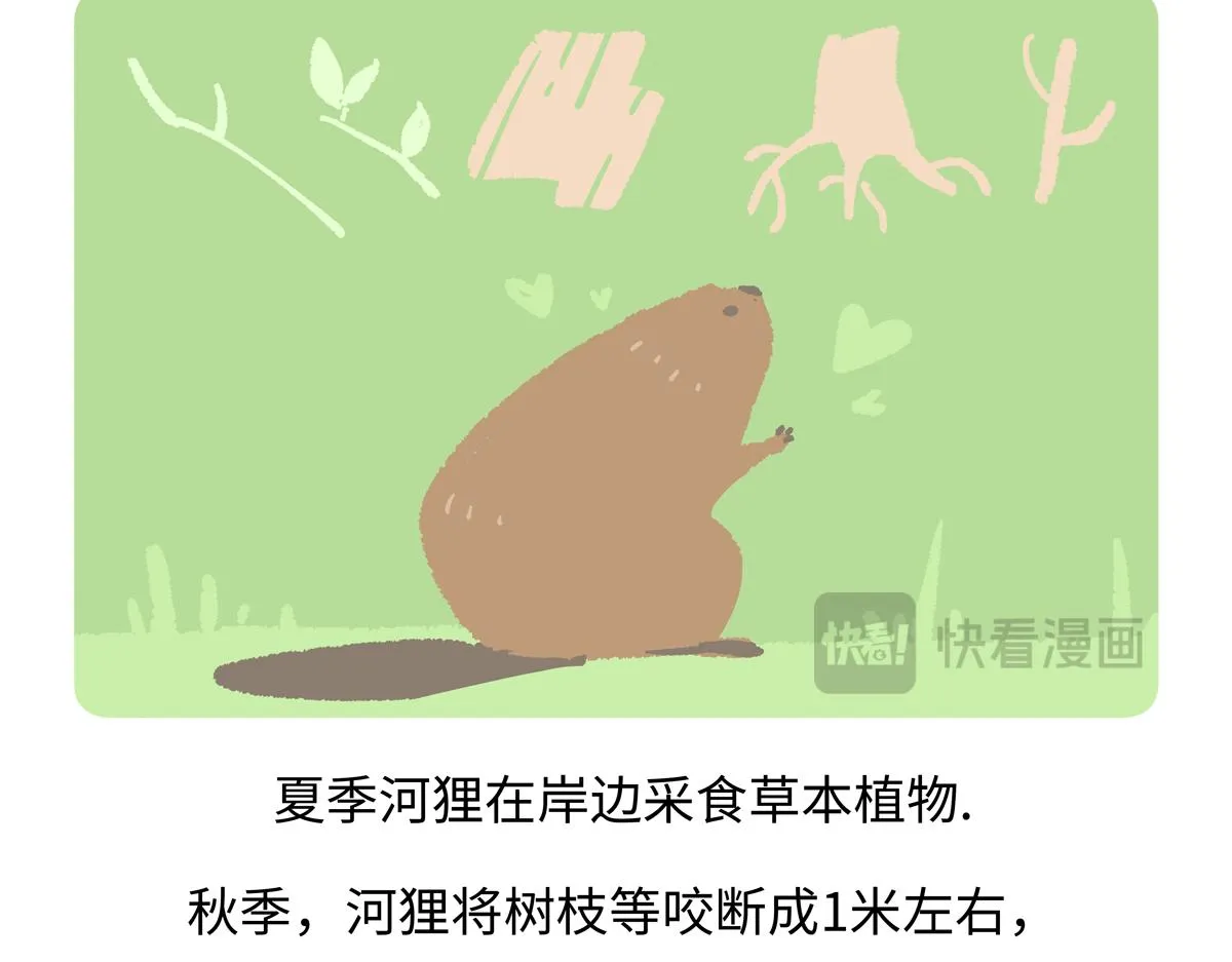 第211话18