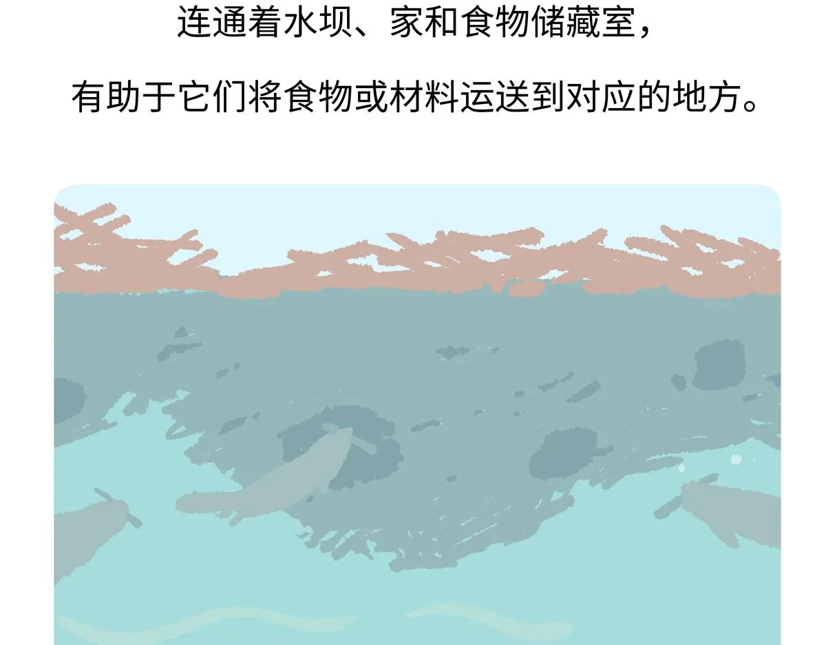 第210话22