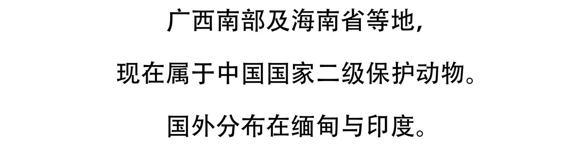 第140话22