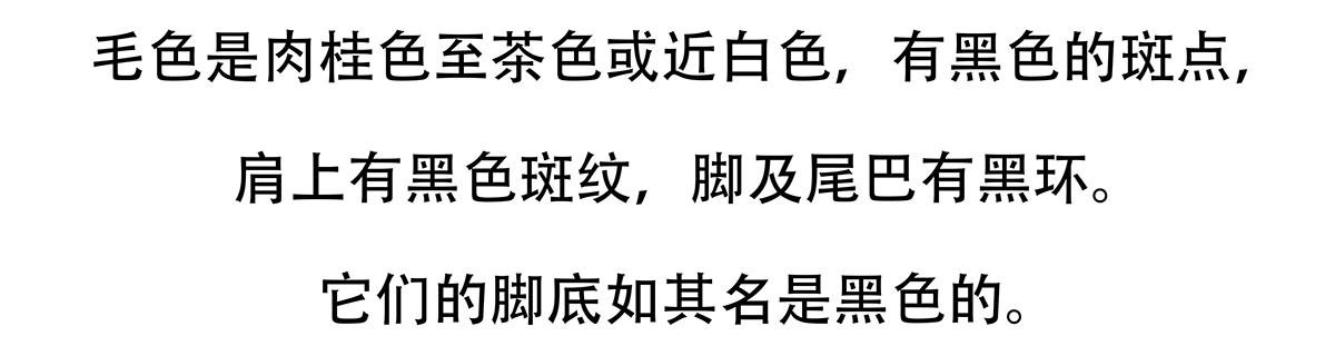 第116话25