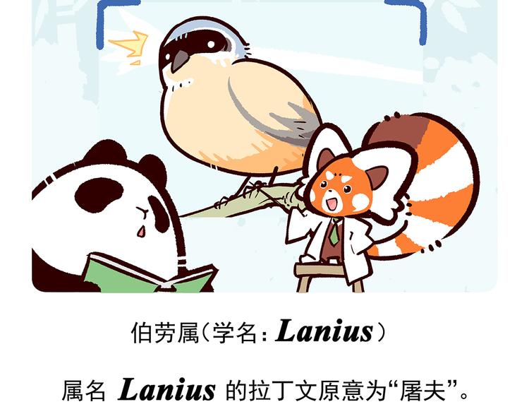 第53话20