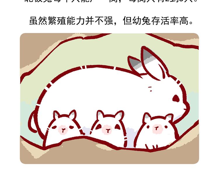 第33话21