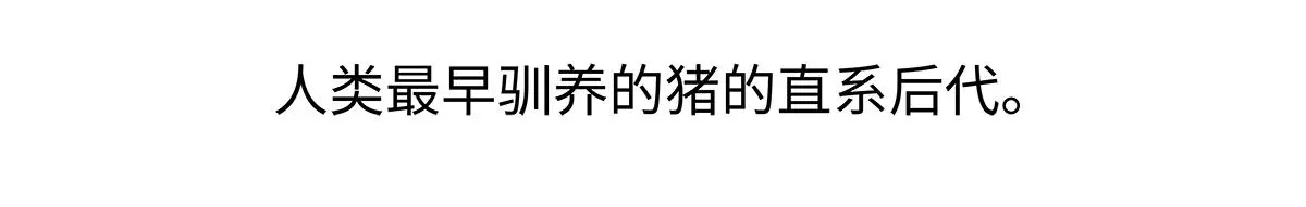 第174话21