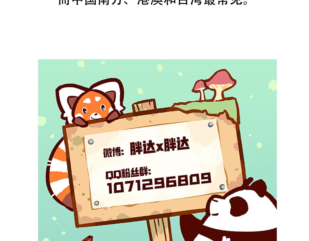 第138话31