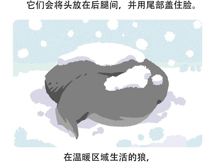 第55话15