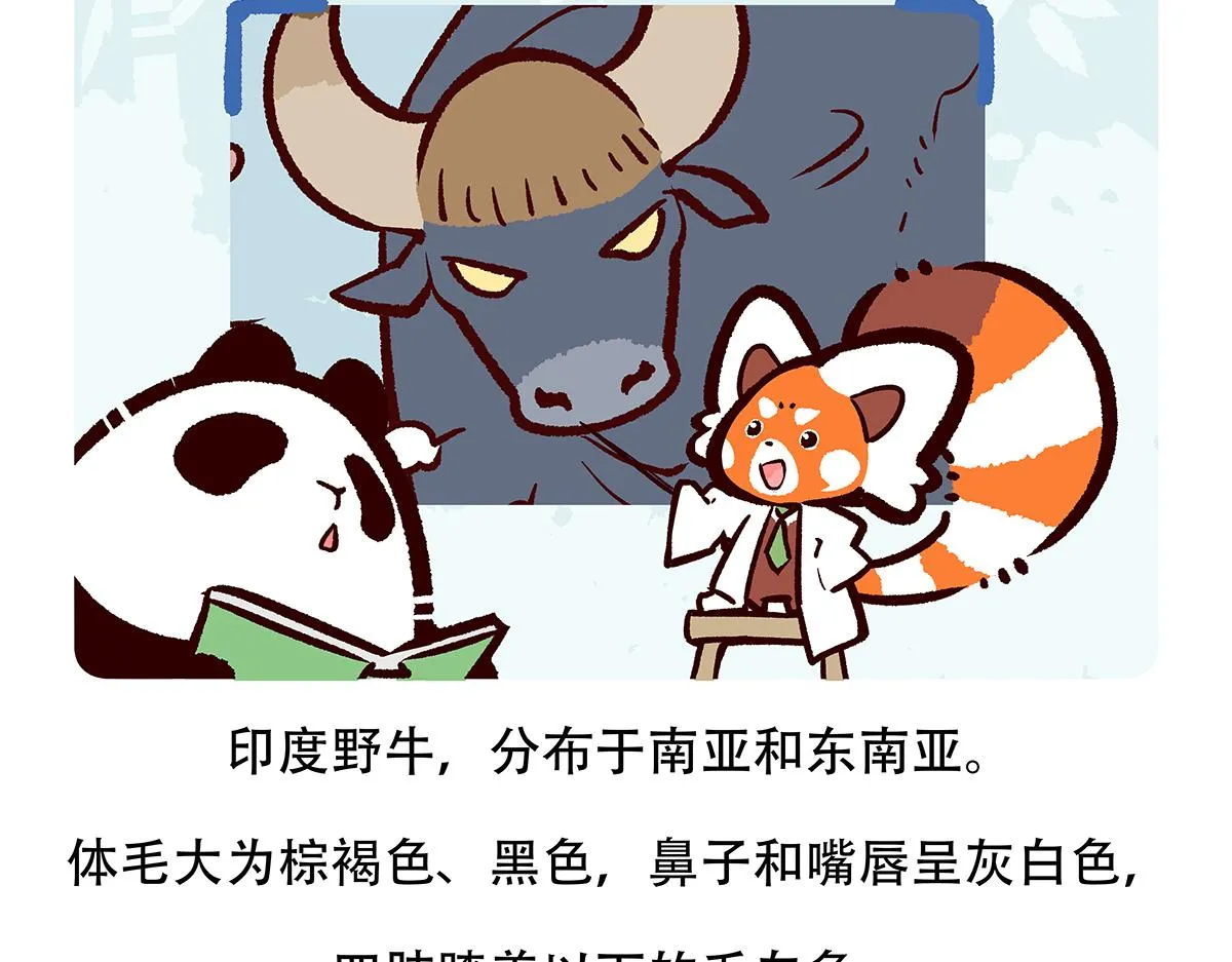 第156话18