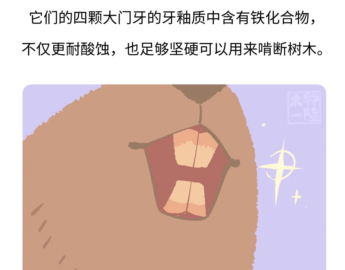 第211话27