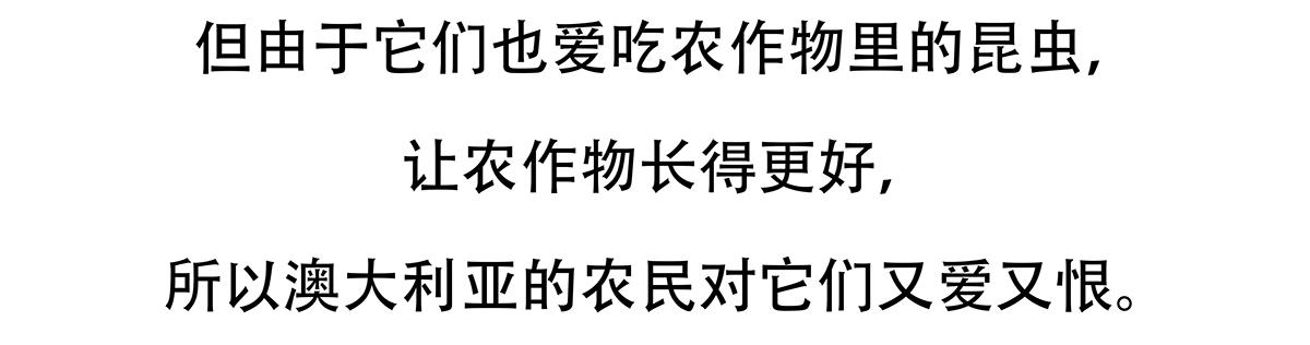 第105话21
