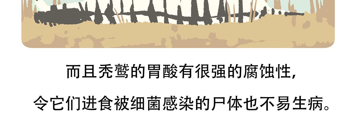 第84话29