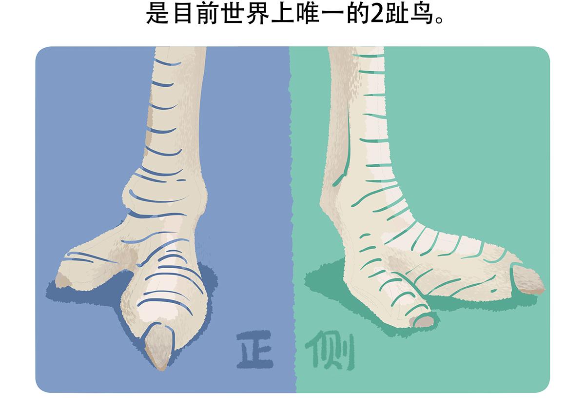 第102话21