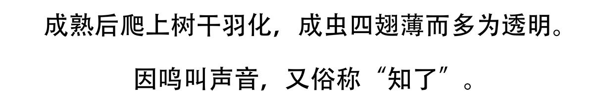 第134话21
