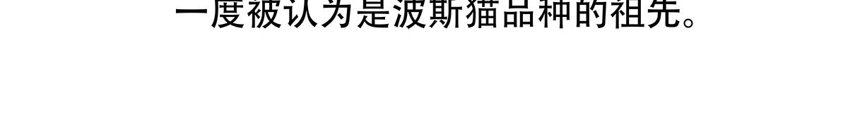 第148话25