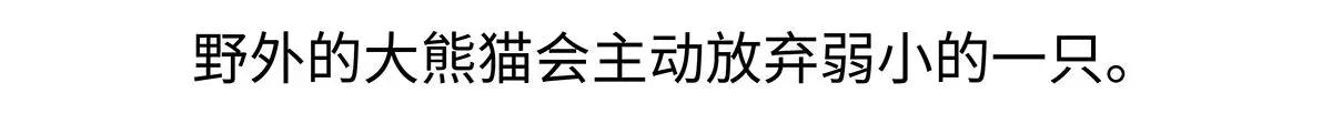 第187话21